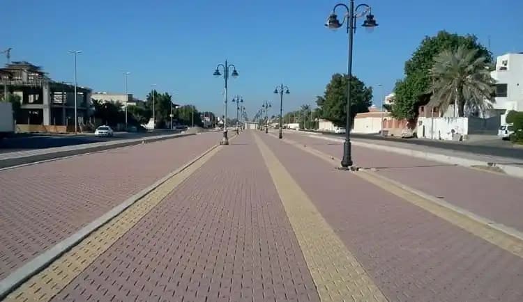 Scenario-Based Planning & Forecasting